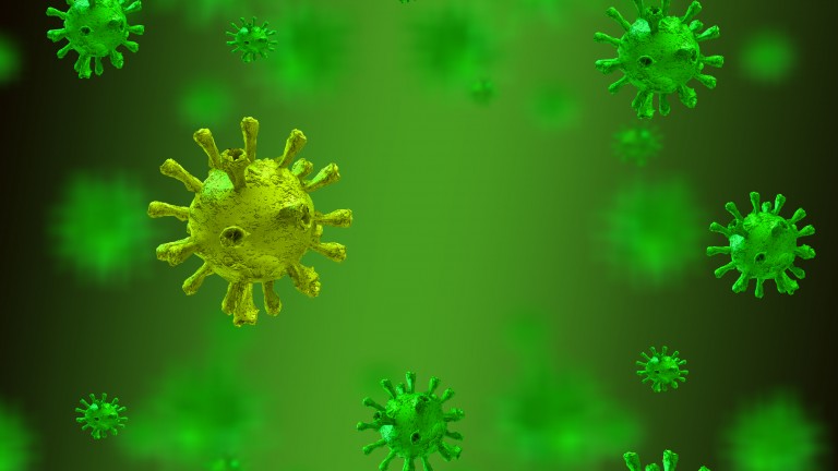 Coronavirus image - COVID-19