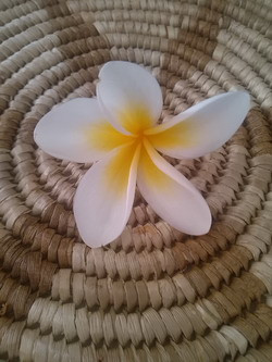 Pacific flower