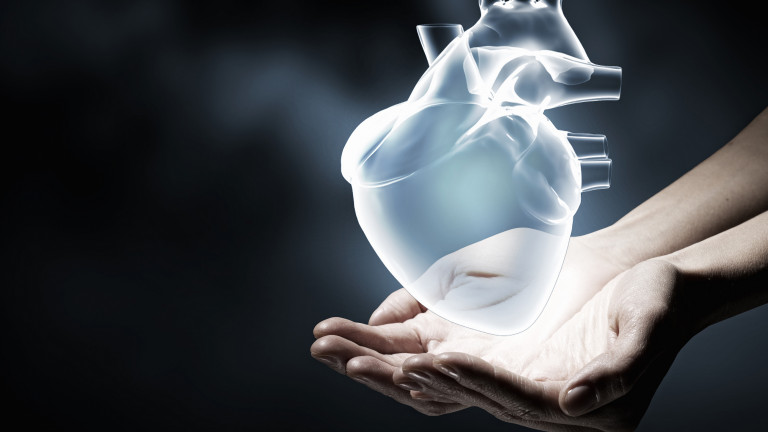 3D heart image 