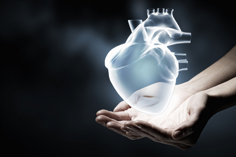 3D heart image 