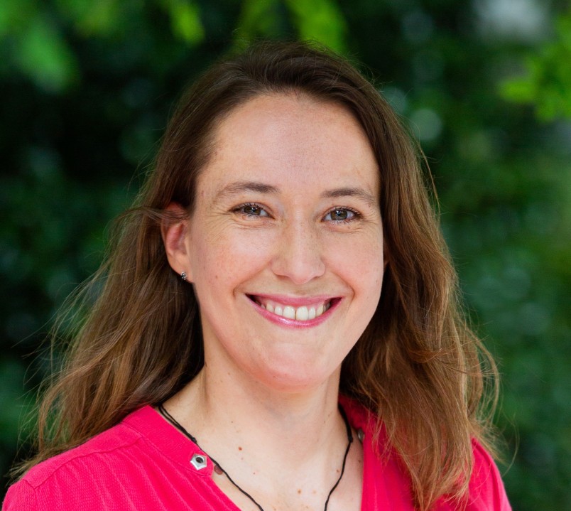 Dr Julie Choisne