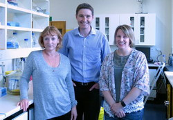 Professor Sarah Hook and team members Dr James Ussher and Dr Andrea Vernall.