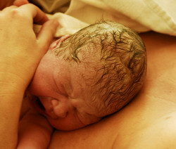 Photograph of a newborn baby&#039;s head, lying on its mother&#039;s chest