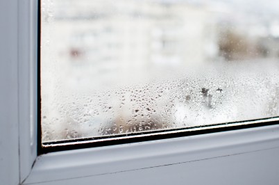 Condensation on house window