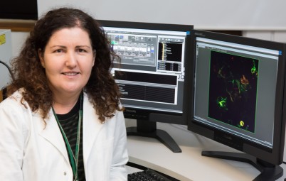 Associate Professor Bronwyn Kivell - photo supplied by Victoria University of Wellington Image Services 